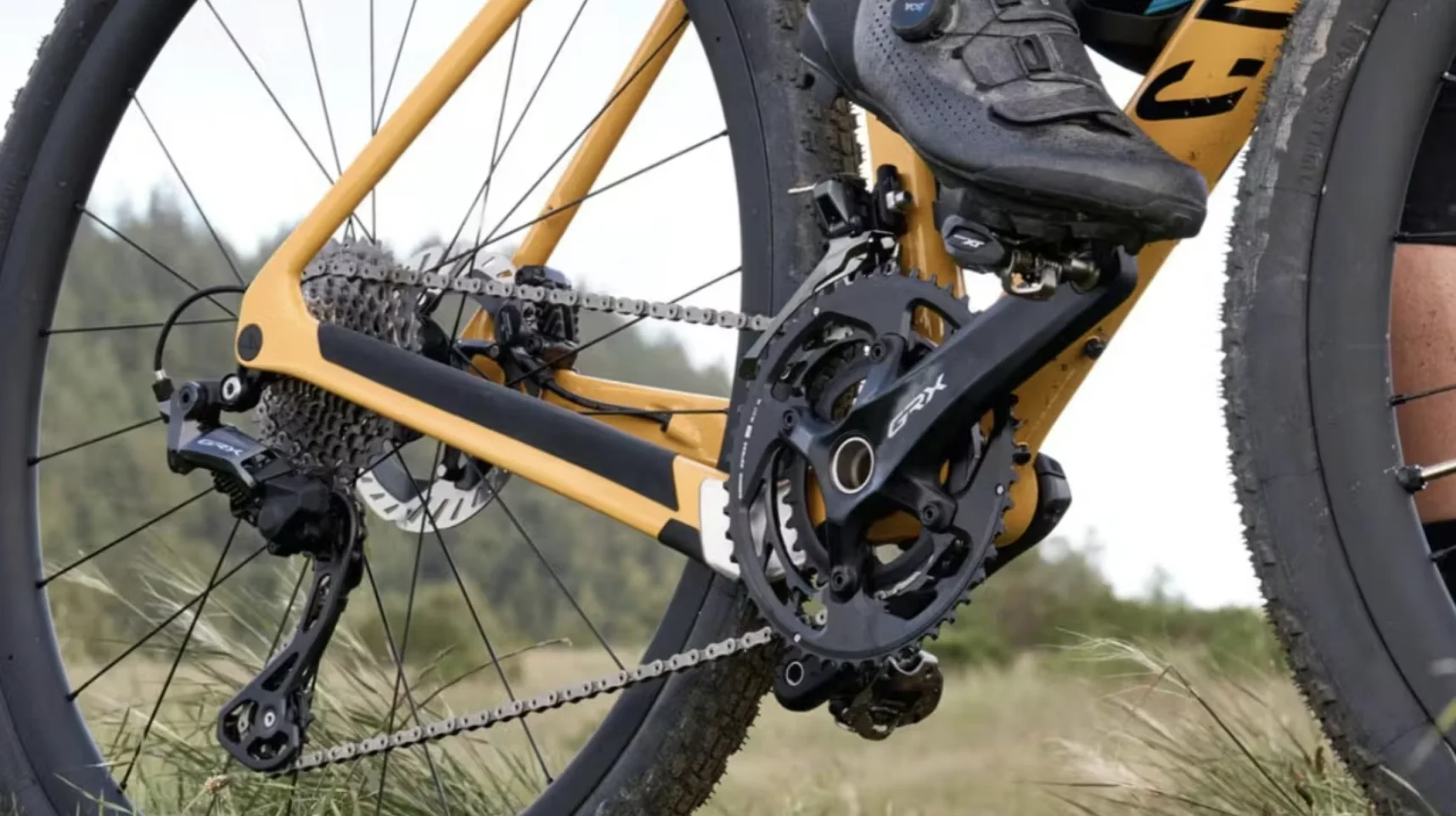 从“清库存”到“看复苏”：禧玛诺、捷安特、美利达年报透露了哪些行业新信号？