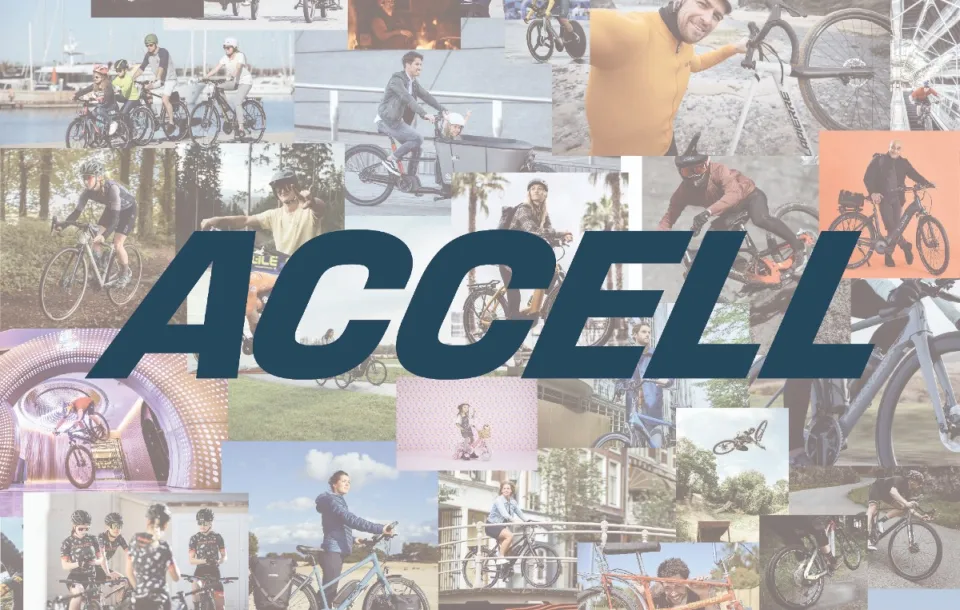 Raleigh、Lapierre、Haibike……多个知名品牌在手，Accell为什么还是破产了？